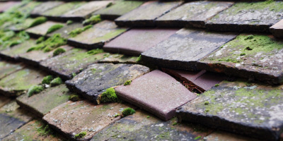 Calvert roof repair costs